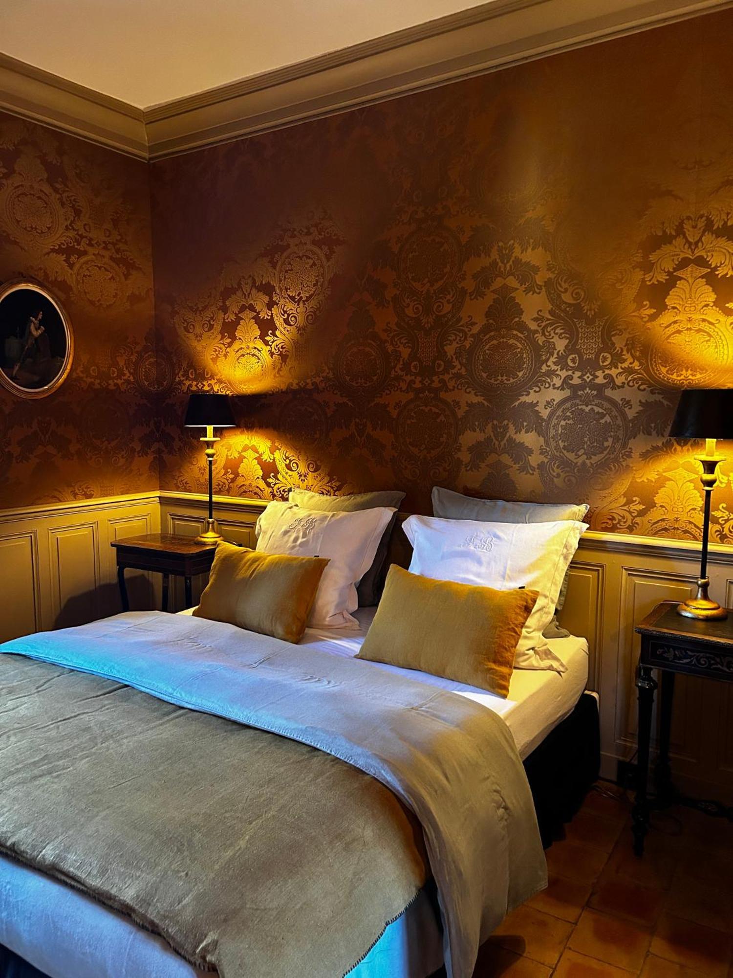 Hotel Le Manoir Du Plessis à Dance  Extérieur photo