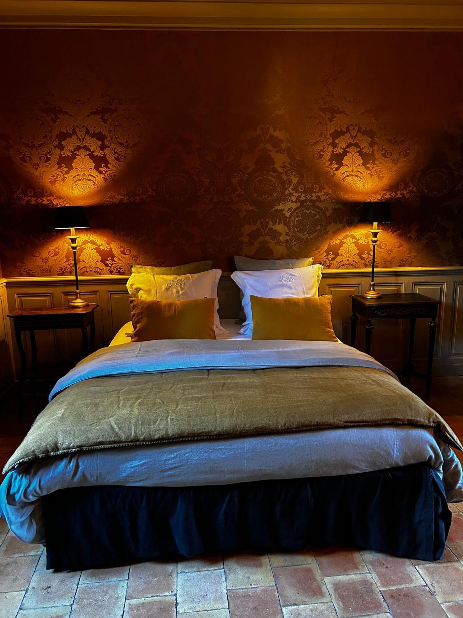Hotel Le Manoir Du Plessis à Dance  Extérieur photo