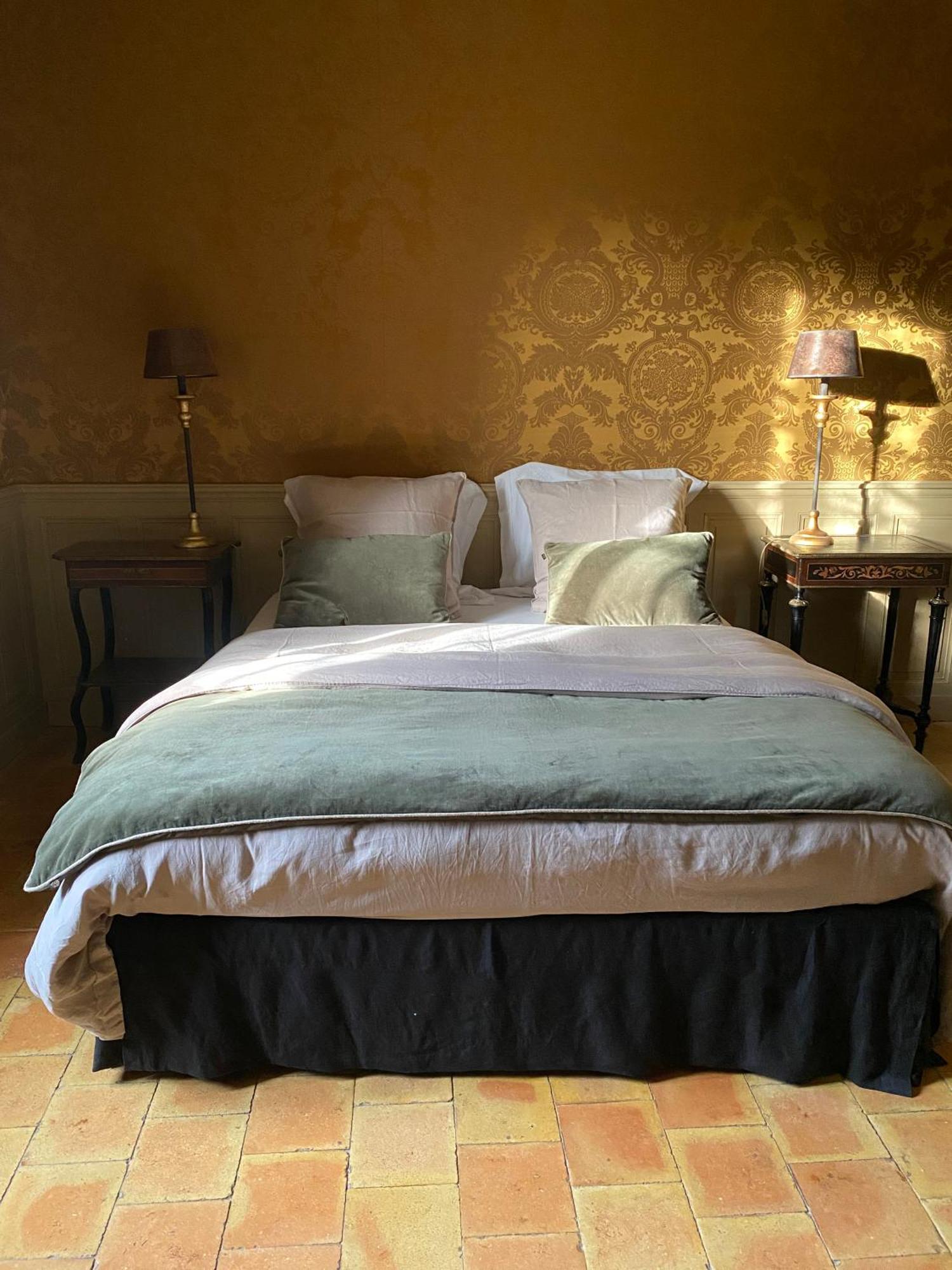 Hotel Le Manoir Du Plessis à Dance  Extérieur photo