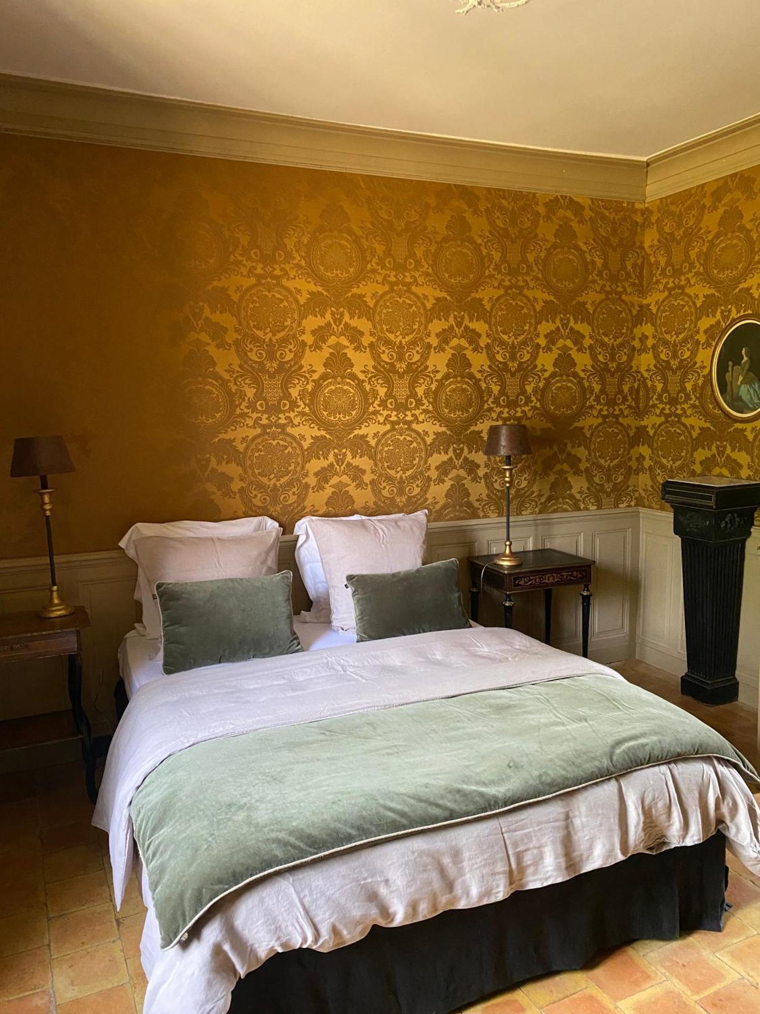 Hotel Le Manoir Du Plessis à Dance  Extérieur photo