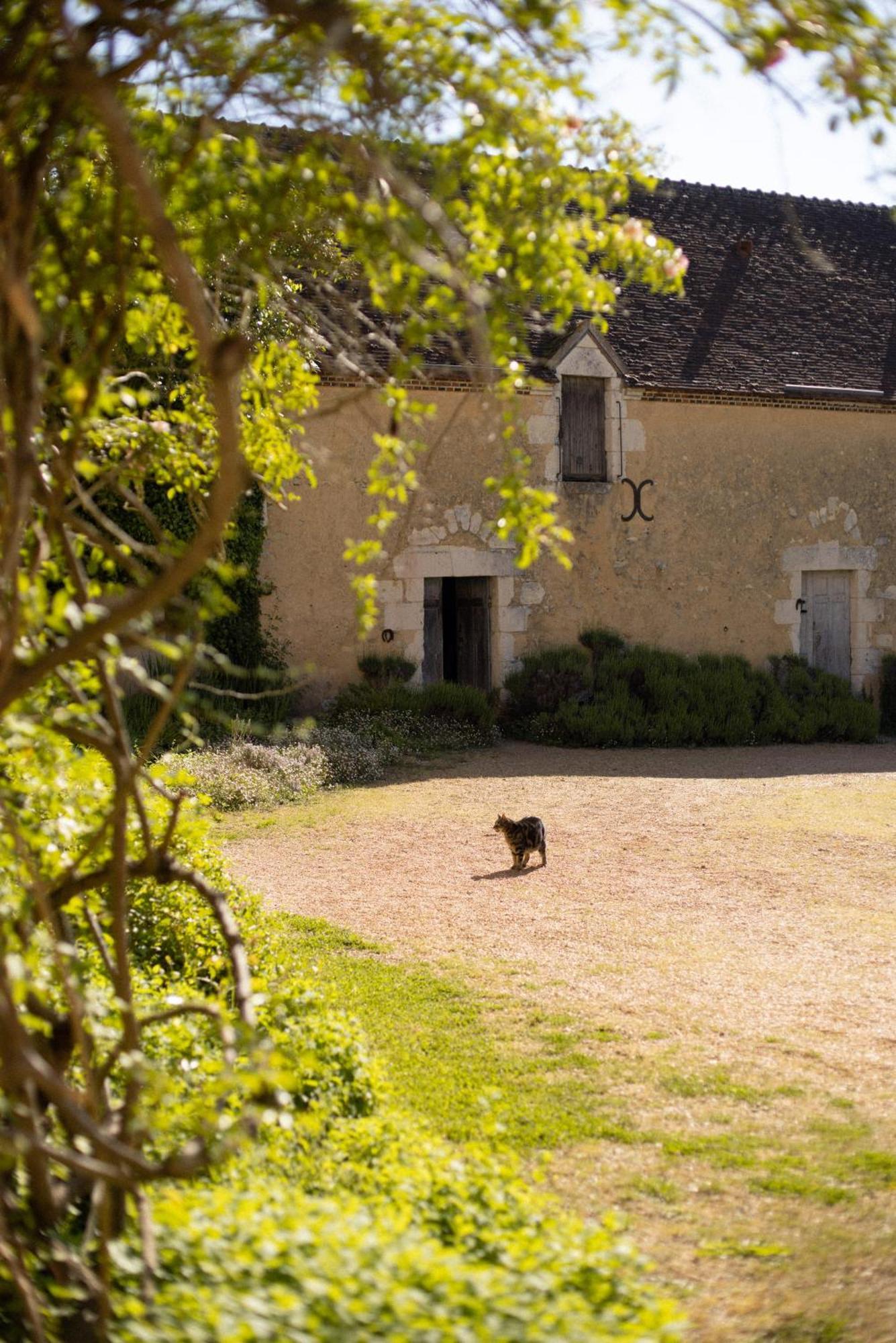 Hotel Le Manoir Du Plessis à Dance  Extérieur photo